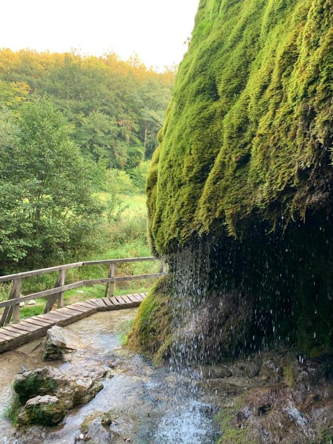 Ferienhaus Backesgarten Fuer 22 Personen Neichen Exteriér fotografie